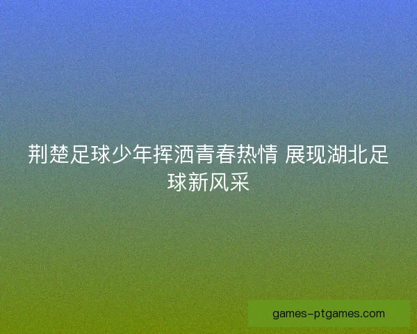 荆楚足球少年挥洒青春热情 展现湖北足球新风采